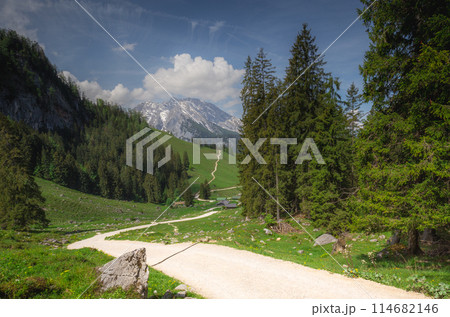 Mountain valley with tracks near Jenner mount in Berchtesgaden National Park 114682146