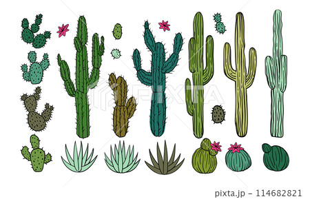 Cactus desert icon. Flower Arizona symbol, Mexican plant, cacti blossom, Mexico prickly, Africa botany. Western bush, safari or weed west and southwest. Hand drawn isolated element vector illustration 114682821