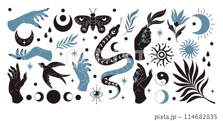 Snake mystic boho set. Sun, bird and eye black silhouette. Esoteric moon, tarot cover design, female hand, bohemian element graphic flower, floral feather, moth. Vector sticker occult tidy celestial 114682835