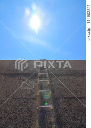 見上げる先に輝く太陽 見上げる先に輝く太陽 114682843