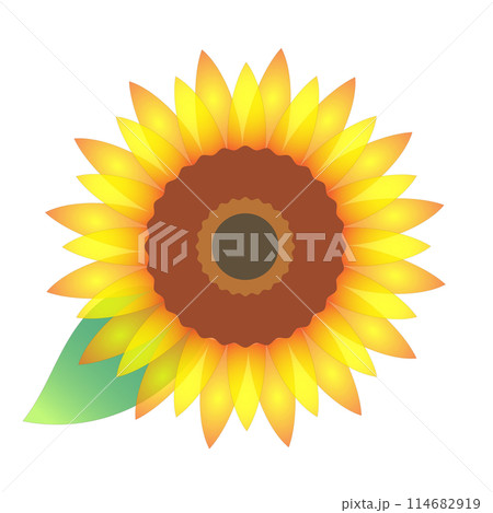 ひまわりの花のアイコン　ベクター素材 114682919