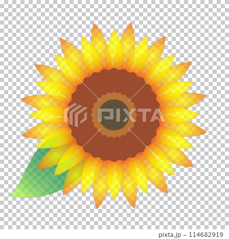 向日葵花朵圖示向量素材 114682919