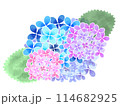 アイコン素材　水彩タッチの紫陽花 114682925