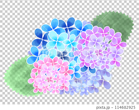 Icon material: Watercolor hydrangea 114682925