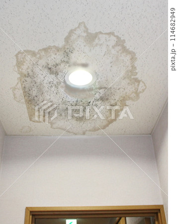 天井の雨漏り箇所 写真素材 天井の雨漏り箇所 写真素材 114682949