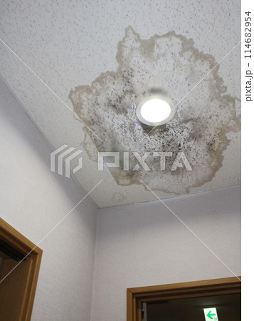 天井の雨漏り箇所・照明周り・写真素材 114682954