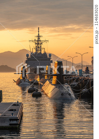 アレイからすこじま 114683020