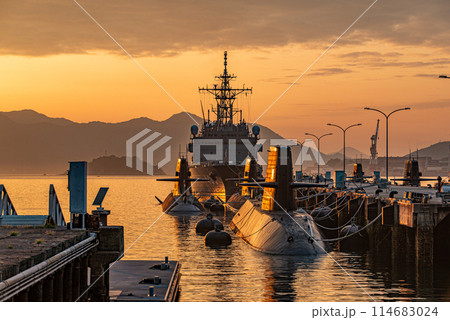 アレイからすこじま 114683024