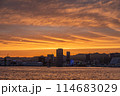 神戸の夕景 114683029