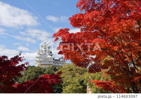 紅葉に染まる秋の世界遺産姫路城 114683097