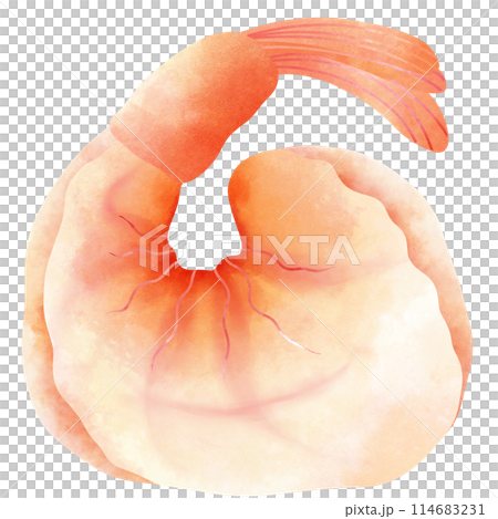 Grilled shrimp are excellent right off the grill 114683231