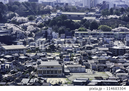 桜咲く金沢の街並み 114683304