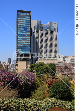難波駅周辺の風景 難波駅周辺の風景 114683514