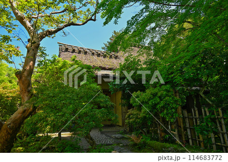 初夏の吉城園 初夏の吉城園 114683772