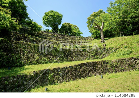 鳥羽市、鳥羽城跡の七段石垣 114684299