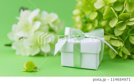 黄緑色の紫陽花の花束とプレゼント 114684971