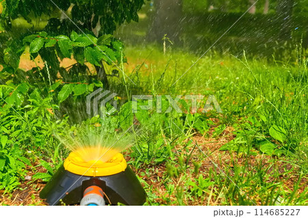 Gardening,landscaping. Sprinkler watering flowers, hot day, Irrigation system Gardening,landscaping. Sprinkler watering flowers, hot day, Irrigation system 114685227