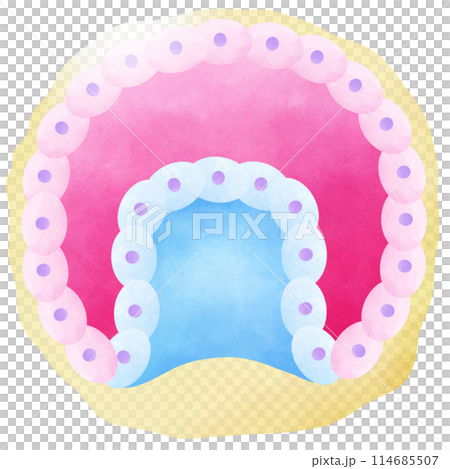 Gastrulation is the stage in the early embryonic development 114685507