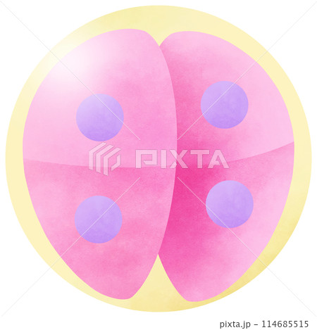 Stages Human Embryonic Development and 4 cell Stages Human Embryonic Development and 4 cell 114685515