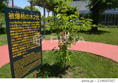 東京富士美術館 東京富士美術館 114685567
