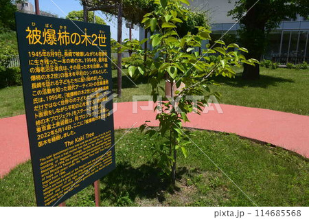 東京富士美術館 東京富士美術館 114685568