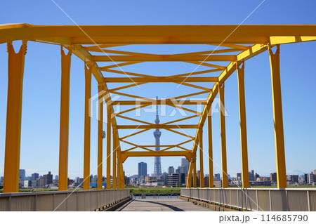 『葛飾』東四つ木避難橋と東京スカイツリー 114685790