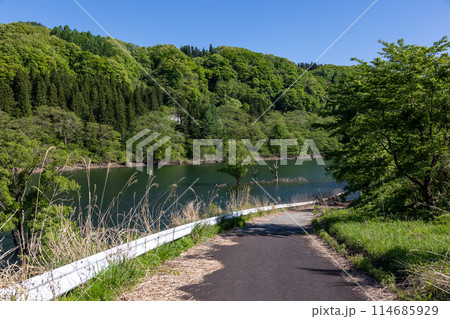 新緑の奥利根 藤原湖 新緑の奥利根 藤原湖 114685929