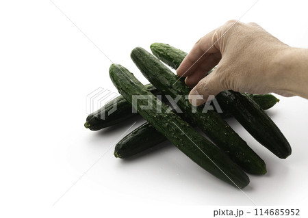 きゅうり (白背景) 114685952