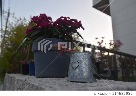 小人が見た世界　「庭の花壇」 114685953