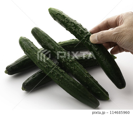 きゅうり (白背景) 114685960