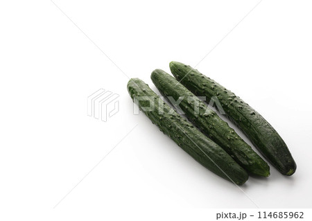 きゅうり (白背景) 114685962