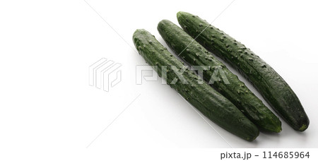 きゅうり (白背景) きゅうり (白背景) 114685964