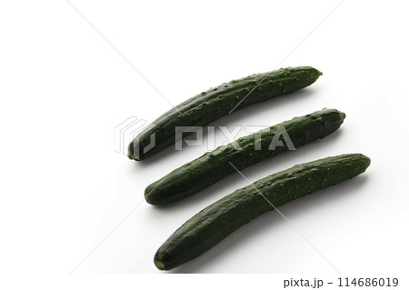 きゅうり (白背景) 114686019