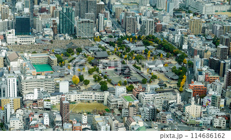 大阪 上空から秋の四天王寺を臨む 1624 大阪 上空から秋の四天王寺を臨む 1624 114686162