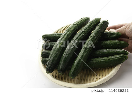 ざるにのせたキュウリ（白背景） 114686231