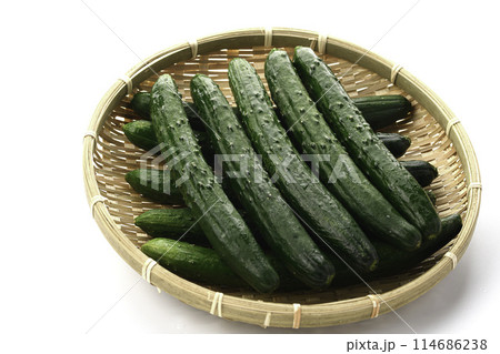 ざるにのせたキュウリ(白背景) ざるにのせたキュウリ(白背景) 114686238