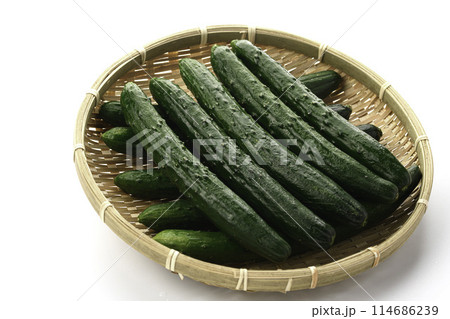 ざるにのせたキュウリ（白背景） 114686239