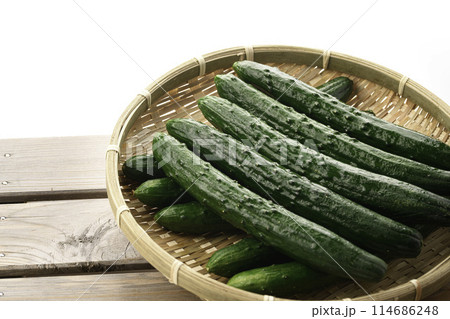 ざるにのせたキュウリ(白背景) ざるにのせたキュウリ(白背景) 114686248