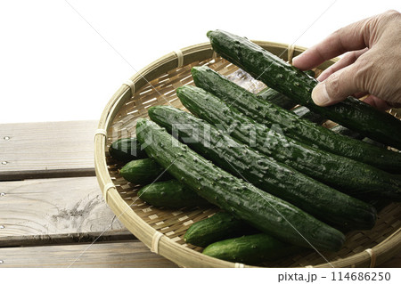 ざるにのせたキュウリ(白背景) ざるにのせたキュウリ(白背景) 114686250
