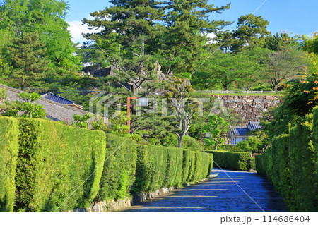 【三重県】晴天の松阪公園の御城番屋敷(殿町公園) 【三重県】晴天の松阪公園の御城番屋敷(殿町公園) 114686404