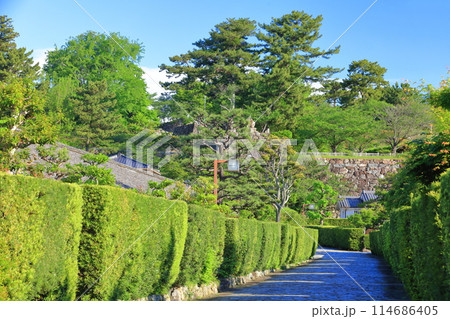 【三重県】晴天の松阪公園の御城番屋敷(殿町公園) 【三重県】晴天の松阪公園の御城番屋敷(殿町公園) 114686405