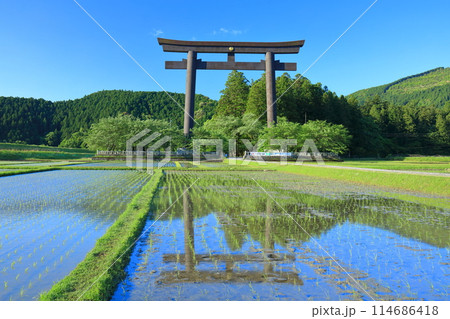 【和歌山県】快晴の大斎原の大鳥居（熊野本宮大社） 114686418