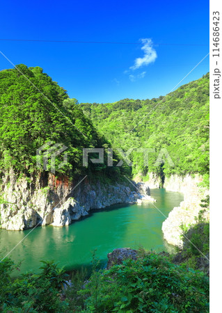 晴天の新緑の瀞峡（瀞八丁） 114686423