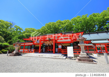【和歌山県】快晴の熊野速玉大社の拝殿 114686463