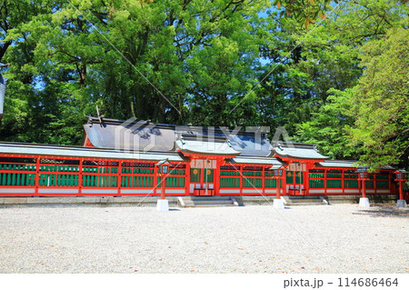 【和歌山県】快晴の熊野速玉大社の上三殿と八社殿 【和歌山県】快晴の熊野速玉大社の上三殿と八社殿 114686464