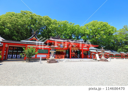 【和歌山県】快晴の熊野速玉大社の拝殿 114686470