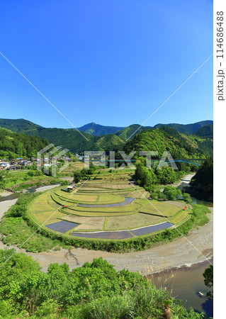 【和歌山県】田植え時期のあらぎ島 114686488