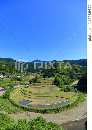 【和歌山県】田植え時期のあらぎ島 114686490