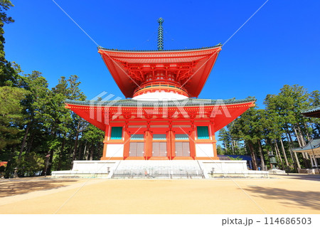 【和歌山県】快晴の高野山の壇上伽藍の根本大塔 【和歌山県】快晴の高野山の壇上伽藍の根本大塔 114686503