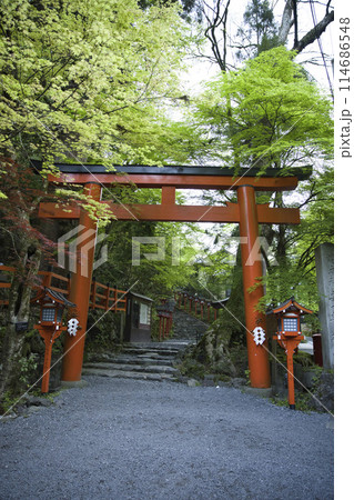 新緑の貴船神社　二の鳥居　縦構図3 114686548